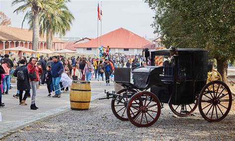 Vi A Santa Rita Se Suma A La Celebraci N Del D A Del Vino Con Tours