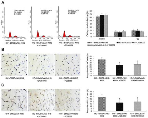 Inhibition Of The Pi3k Akt And Mek Erk Pathways By The Pi3k Inhibitor Download Scientific