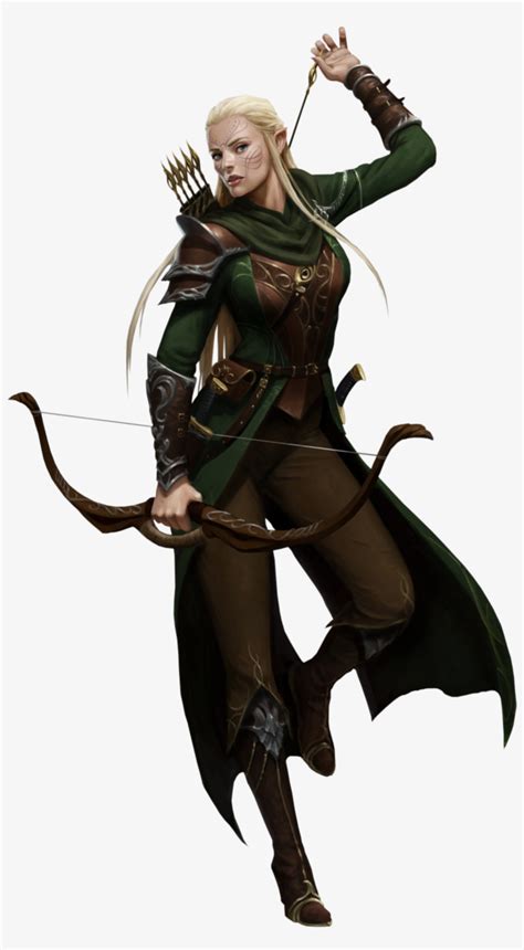 Pathfinder Female Elf Ranger Transparent Png 1584x2550 Free