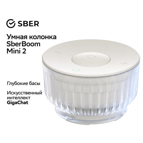 Умная колонка SberBoom Mini 2, неоновый серый, с искусственным ...