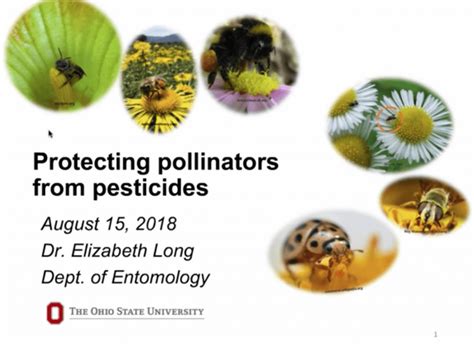 Protecting Pollinators From Pesticides Webinar With OSUs Elizabeth