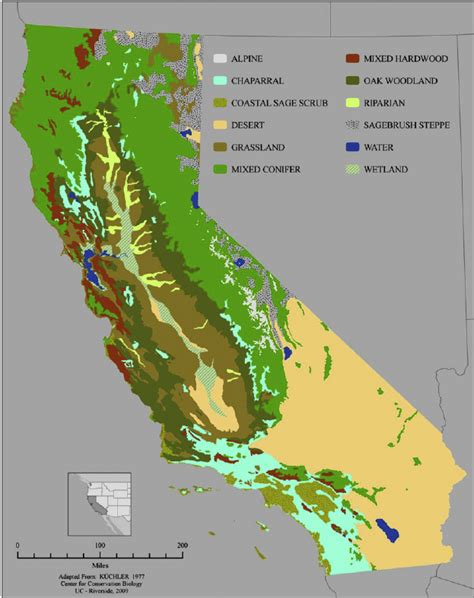 Map Of The Distribution Of Vegetation Types And Land Cover In