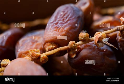 Palm Fruit Hi Res Stock Photography And Images Alamy