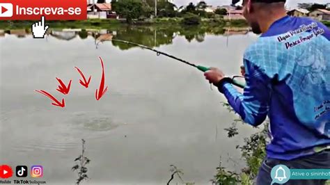 Pescaria de Carpa húngara só as Bruta no Molinete YouTube