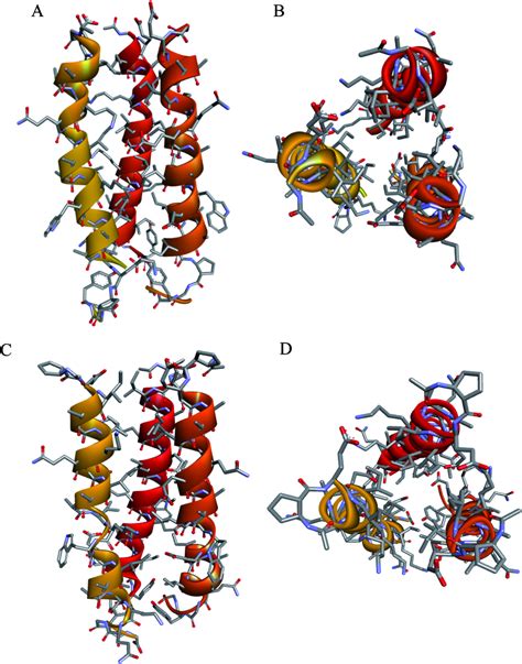 The Averaged Structures Of Peptides 2 And 3 Calculated On The Basis Of Download Scientific