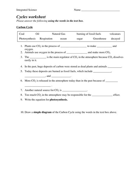 The Carbon Cycle Worksheet – E-streetlight.com