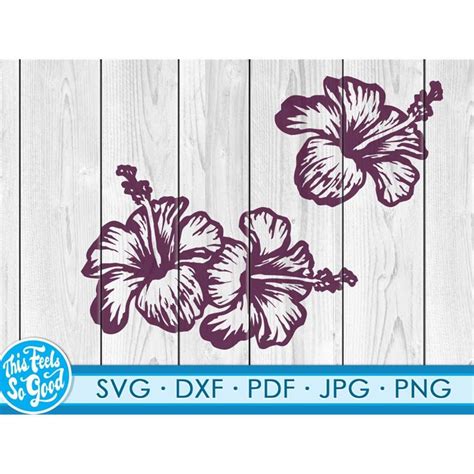 Hibiscus Svg Png Tropic Svg Tropical Flowers Svg Beach Hi Inspire