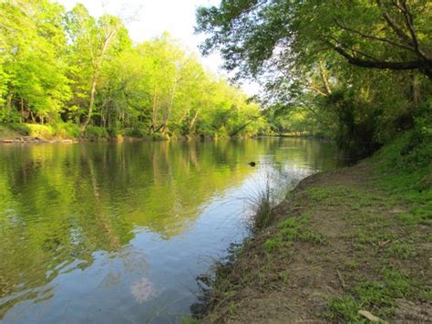 Neuse River Trail Opening