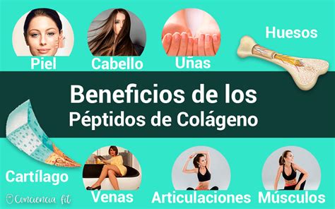 Colágeno Beneficios Para El Organismo Y Sus Propiedades Para La Caida