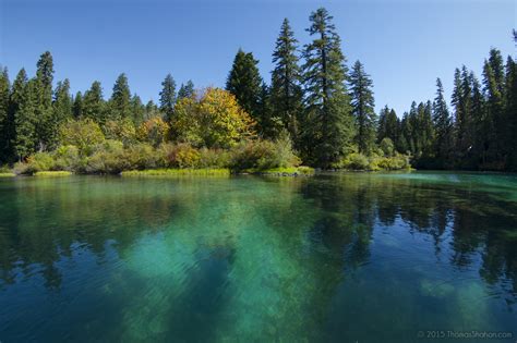 This Oregon Lake Is So Clear You Can See A Petrified Forest At The