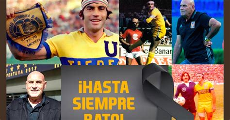 Muere Osvaldo Bato Batocletti Leyenda De Tigres