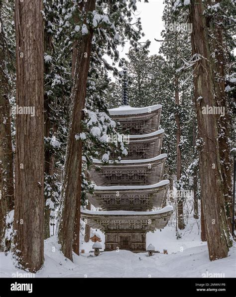 The Five Storied Pagoda In A Forest Of Cedar Trees With Deep Snow At