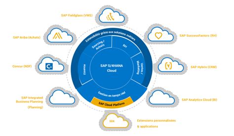 SAP S 4HANA Cloud Presentation Of The Different Versions