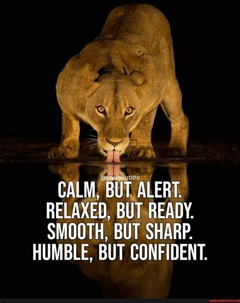 Calm But Alert Relaxed But Ready Smooth But Sharp Humble But Confident Americas