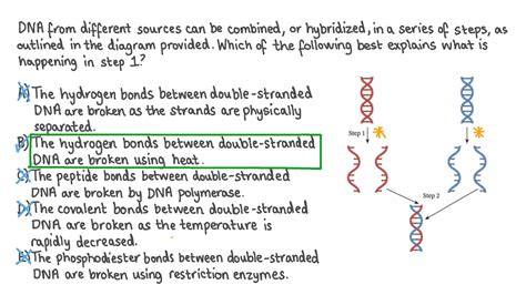 Question Video Explaining The Process That Occurs In The First Step Of