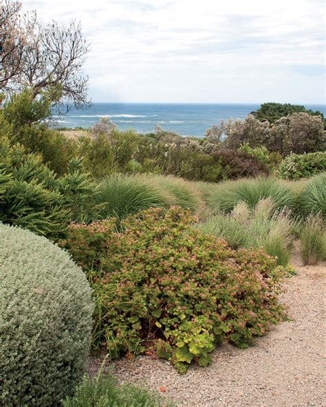 Australian Coastal Gardens