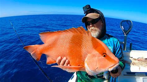 REEF FISHING FULL HOUSE Coral Trout Red Emperor And Nannygai Fishing