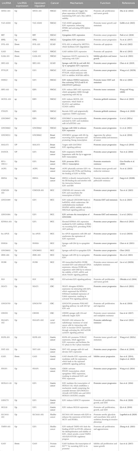 Frontiers Current Concepts Of The Crosstalk Between Lncrna And E2f1