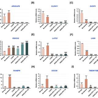 Analysis Of The MRNA Levels Of Target Genes Regulated By The Candidate