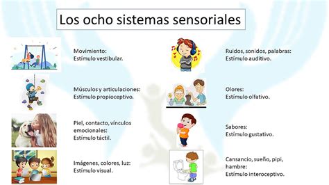 El Desorden Del Procesamiento Sensorial