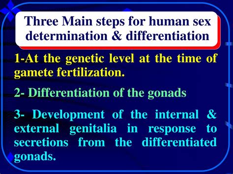 Ppt Sex Determination And Sex Differentiation As Revealed In The Holy