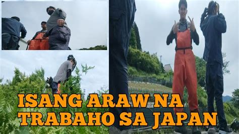 Isang Araw Na Trabaho Sa Japan Buhay Trainee Sa Japan Japan