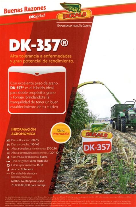 Semilla Ma Z Hibrido Dekalb Con Tratamiento Bulto Kg Campo