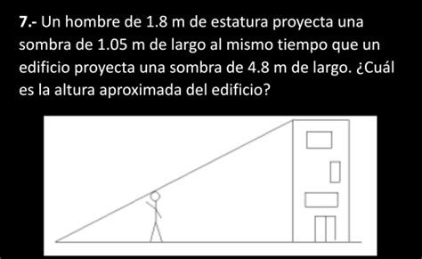 Solved 7 Un Hombre De 1 8 M De Estatura Proyecta Una Sombra De 1 05