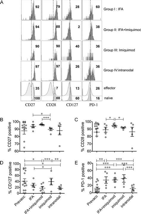 Expression Of Surface Receptors By Melan A Mart Specific T Cells