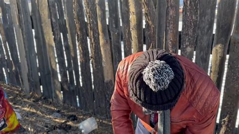 МУСГЗ, зохиолч Ч. Галсан гуай Монголчууд бид бүгдээрээ хогтойгоо дайн ...