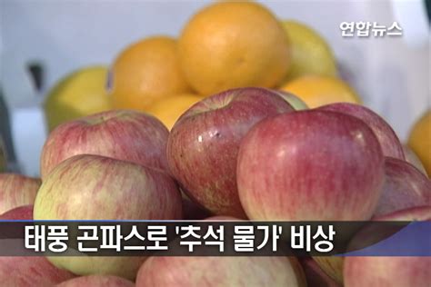 태풍 곤파스로 추석 물가 비상 연합뉴스