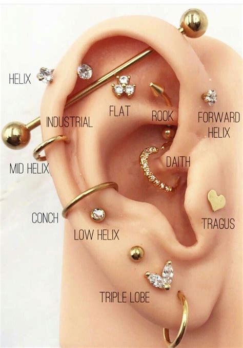 Ear Piercing Types Chart