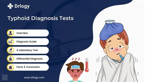 4 Best Typhoid Fever Diagnosis Test For Better Health Drlogy