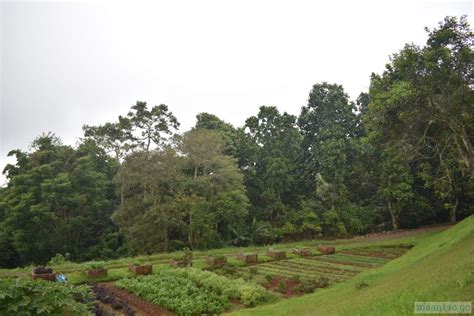 Day Tour At Eden Nature Park Davao City