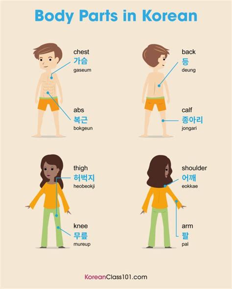 Learn Korean KoreanClass101 Learn Korean Learn Japanese