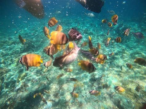 Excursión de un día a lo mejor de Nusa Penida con barco privado para