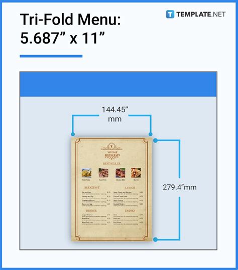 Menu Size Dimension Inches Mm Cms Pixel Free And Premium Templates