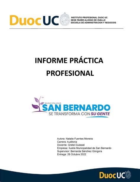 Preparaci N Informe Instituto Profesional Duoc Uc Sede Padre Alonso