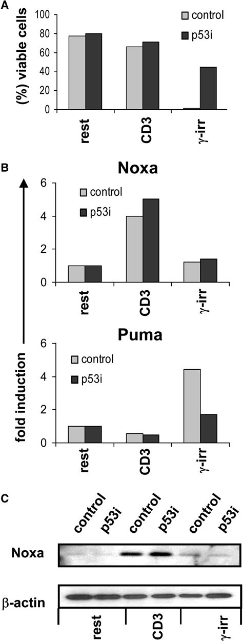 The Noxa Mcl Axis Regulates Susceptibility To Apoptosis Under Glucose