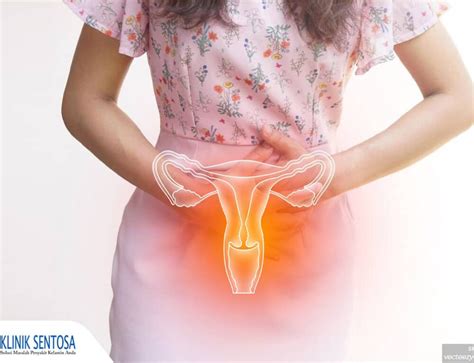 Jangan Panik Ini 3 Cara Atasi Benjolan Di Vagina Yang Efektif Klinik