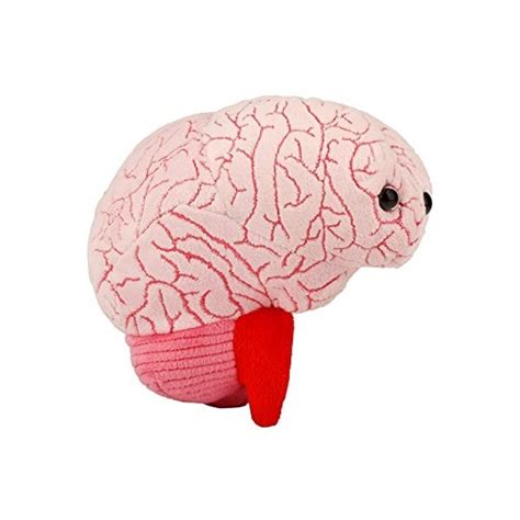 Giantmicrobes Porte Cl S En Forme De Microbe G Ant En Peluche Cerveau