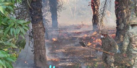 Los Incendios En Bolivia Arrasaron Con Más De 2 Millones De Hectáreas