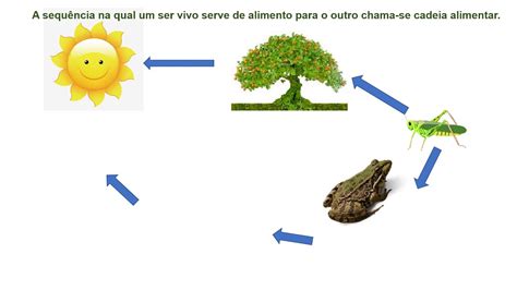 Considere As Tr S Cadeias Alimentares A Seguir Braincp