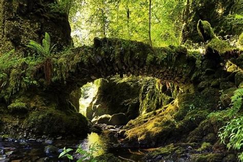 Fairy Bridge, Scotland - Wander Lord