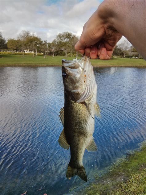 How To Catch Fish In A River What Makes A Good Fishing