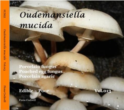 Amazon Oudemansiella Mucida Porcelain Fungus Fungi Book