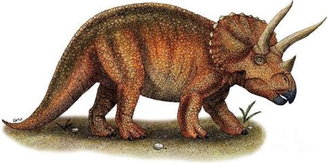 Dinosaurs That Are Herbivores Aeneasmudasir