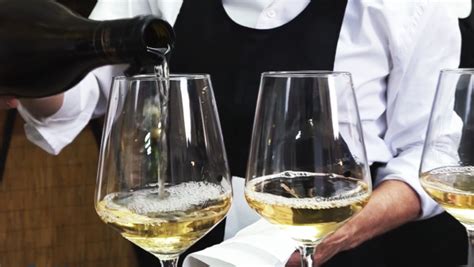 Piè di Pagina Programmi Puntata La Festa del Vino a Montecarlo LU