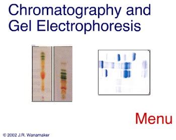 Animation - Chromatography & Gel Electrophoresis | TpT