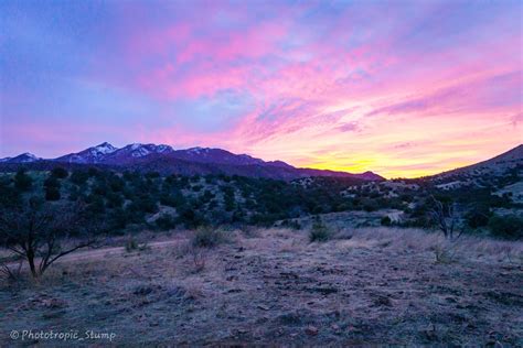 Homeward Bound – The Santa Rita Mountains